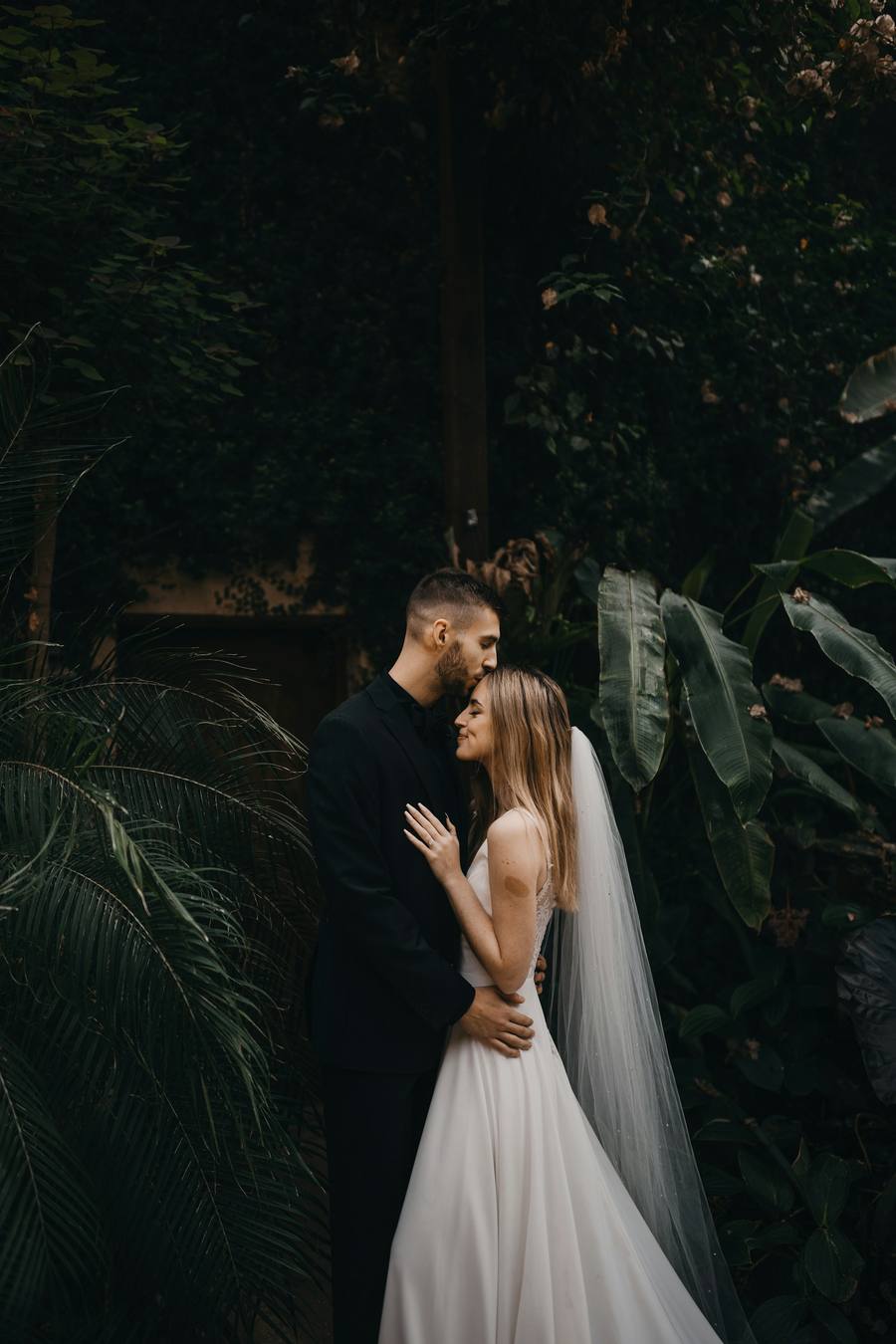 Couple embracing among tropical foliage in evening light